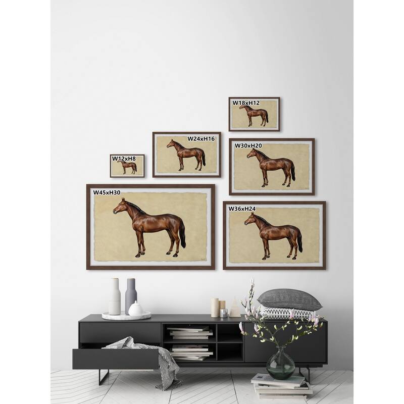 Shiny Coat Framed Print