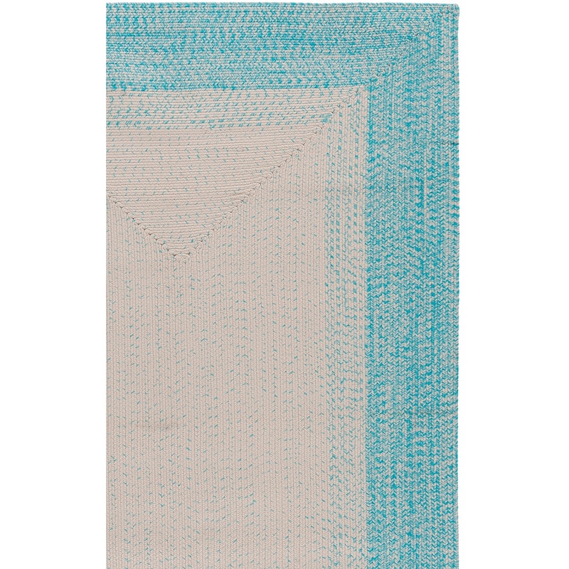 SAFAVIEH Handmade Braided Eiry Washable Indoor/Outdoor Rug - Weather Resistant & Easy Cleaning