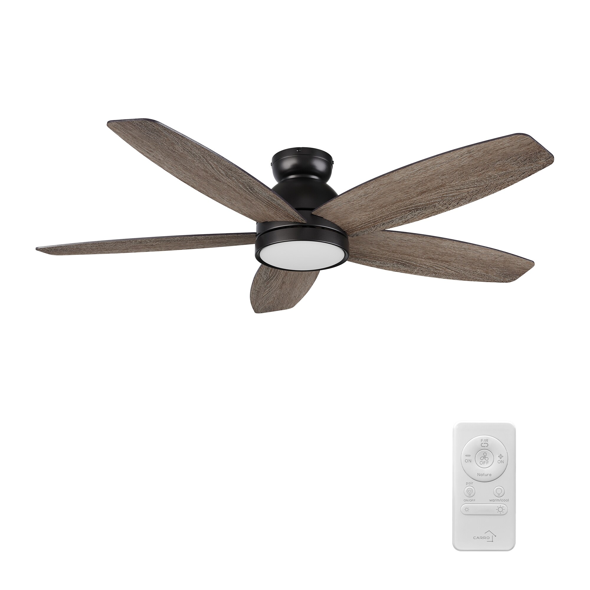 超格安一点 52-inch Cerus Indoor Kit Light LED Fan,Dimmable Ceiling ビカクシダ