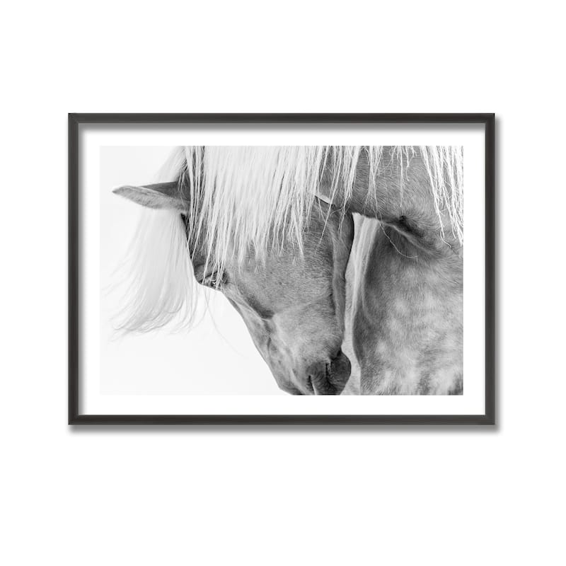 "Halflinger Portrait" Framed Print Wall Art by Kimberly