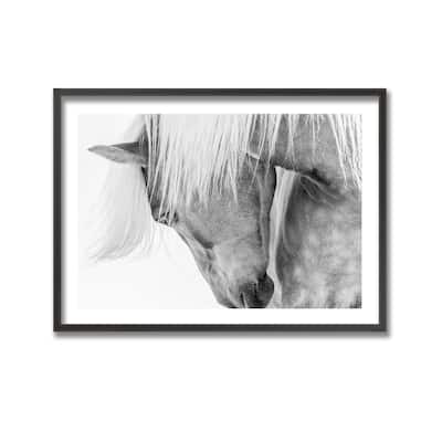 "Halflinger Portrait" Framed Print Wall Art by Kimberly