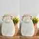 Option Set of 2-Sheep