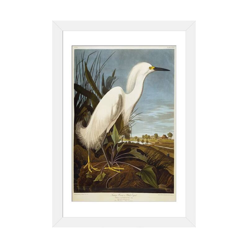 iCanvas "Snowy Heron Or White Egret / Snowy Egret " by John James Audubon - White - 32x24x1