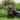 SunJet 35.6" Tall Moai Statue - Easter Island Head Indoor Outdoor Garden Sculpture