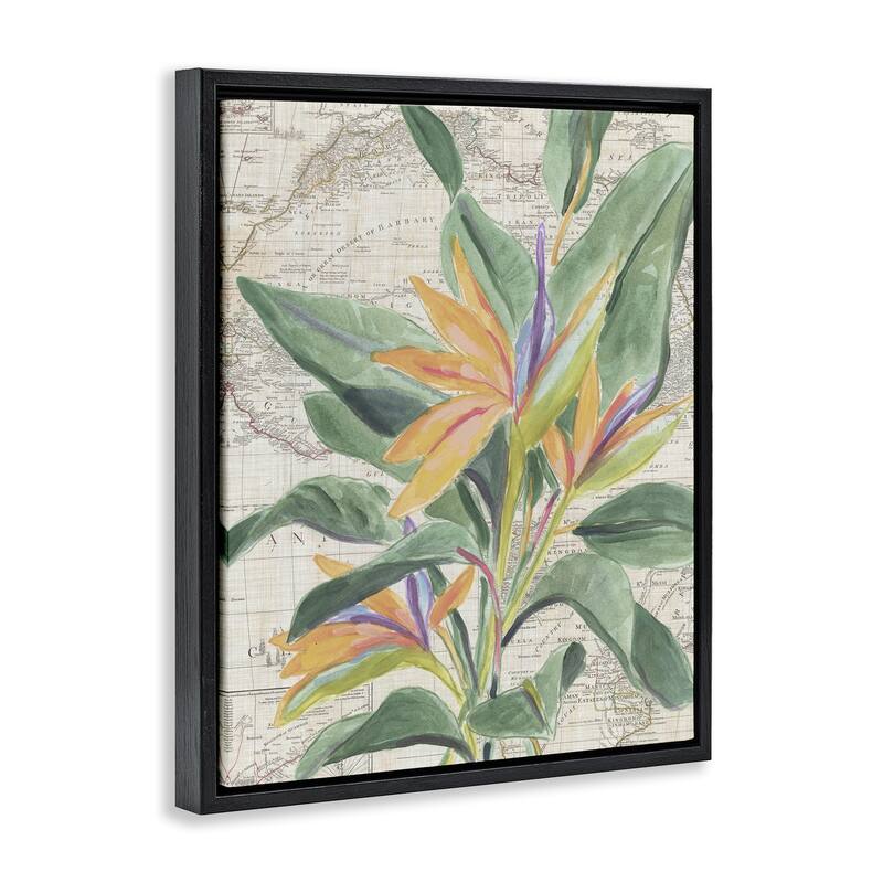 Stupell Tropical Flower over Map Framed Floater Canvas Wall Art Design By June Erica Vess
