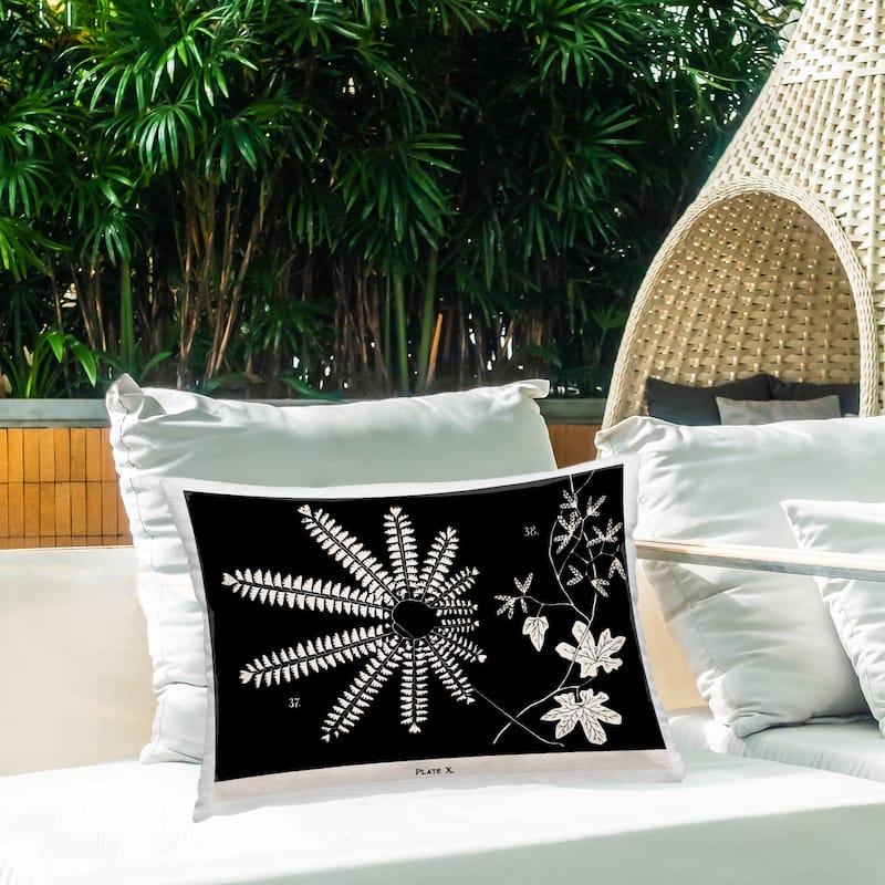Stupell Ferns & Leaves on Black Printed Outdoor Throw Pillow Design by Phillipa Katz