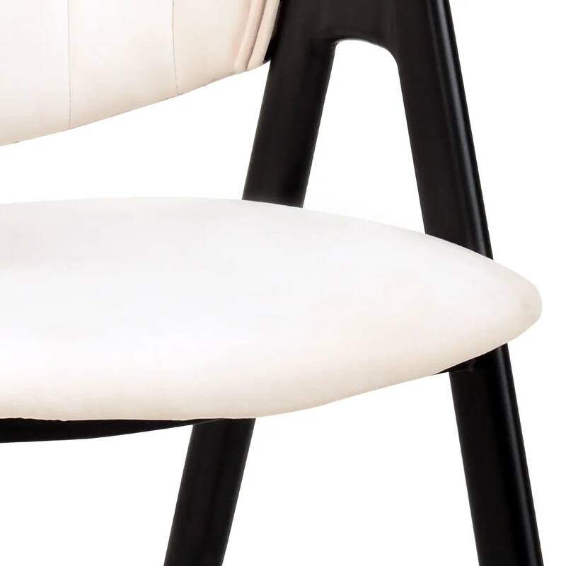 Savor Mid-Century Modern Upholstered Dining Chair with Curved Back and Iron Base for Home & Kitchen Set of 4