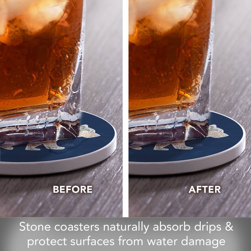 Mama Bear 4 Pack Absorbent Stone Coasters with Protective Cork Backing Made in The USA Absorbent Easily Wipes Clean