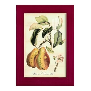Printed Tuscan Fruits IV -Framed Print w/glass-Cherry Red