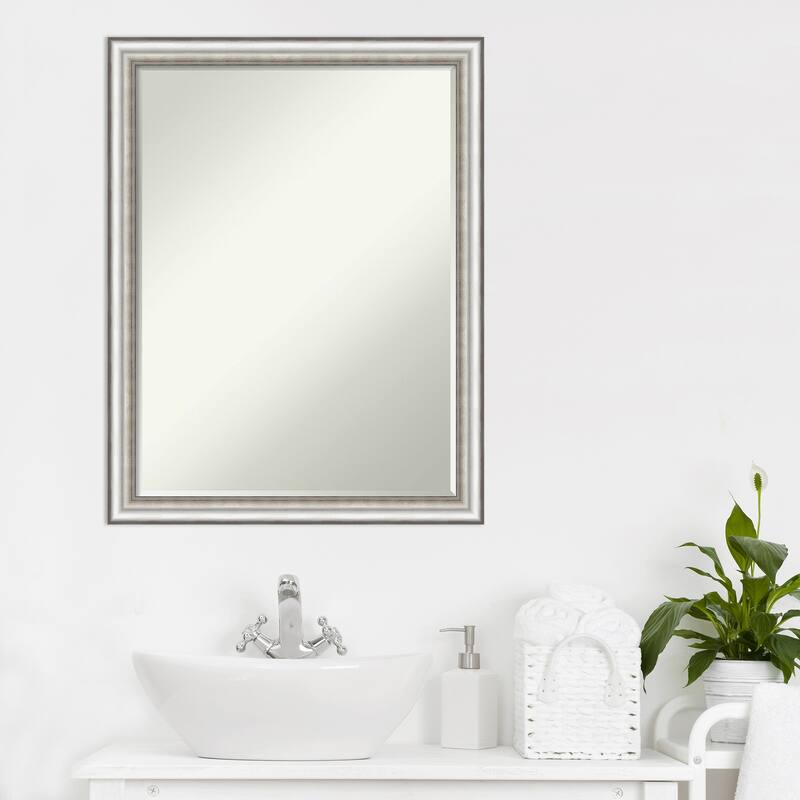 Petite Bevel Bathroom Wall Mirror - Salon Silver Narrow Frame - Salon Silver Narrow - 20 x 26 in