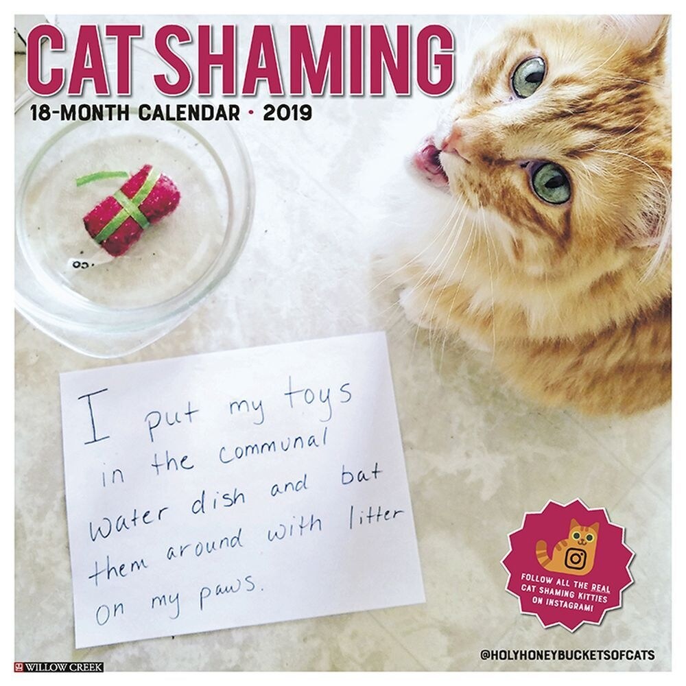 Shop 2019 Cat Shaming 2019 Wall Calendar Funny Cats By Willow