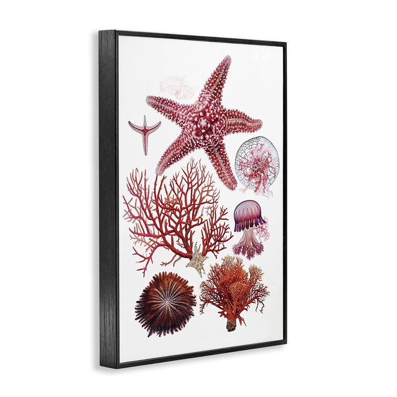 Stupell Rosy Undersea Creatures Framed Giclee Art Design By Ramona Murdock