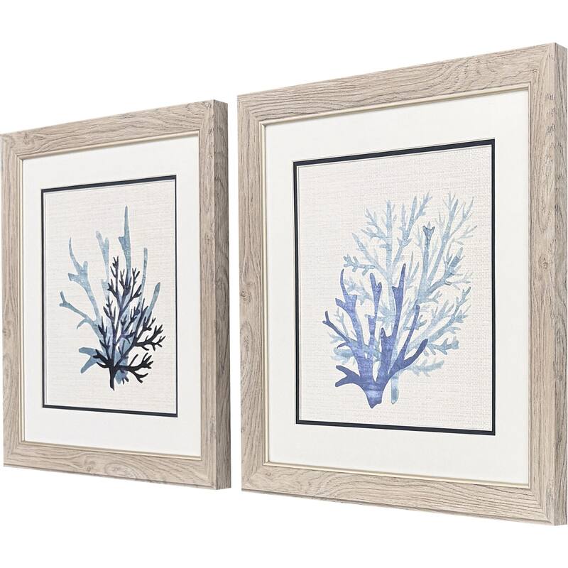 Paragon Coral Shades Framed Art - Set of 2