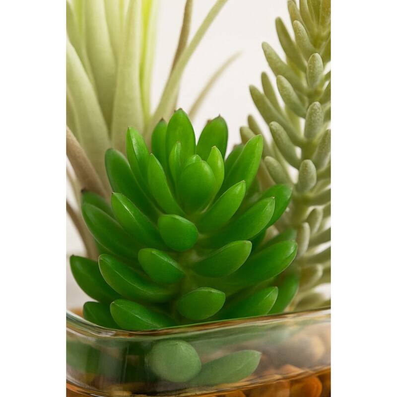 HomeStock Succulent and Flocked Burro Tail in Glass Cube - Textured Faux Plant for Contemporary Flair - 6