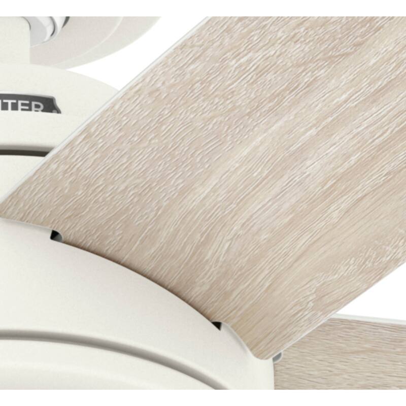Hunter Margo Ceiling Fan w/ LED Light Kit, Handheld Remote - Transitional, Bohemian