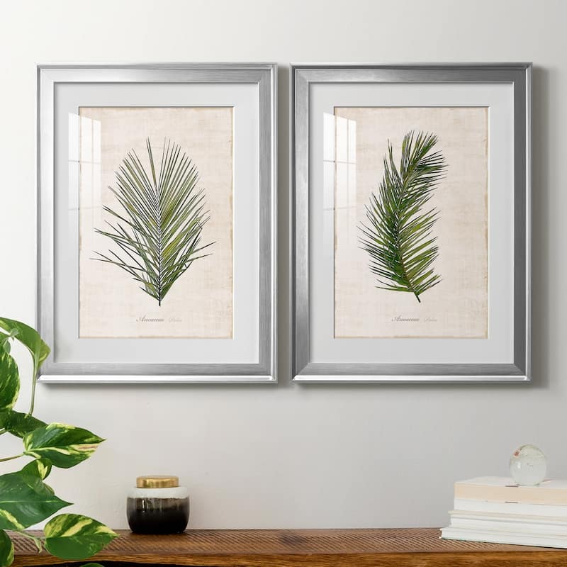Palm Botanical I Premium Framed Print - Ready to Hang