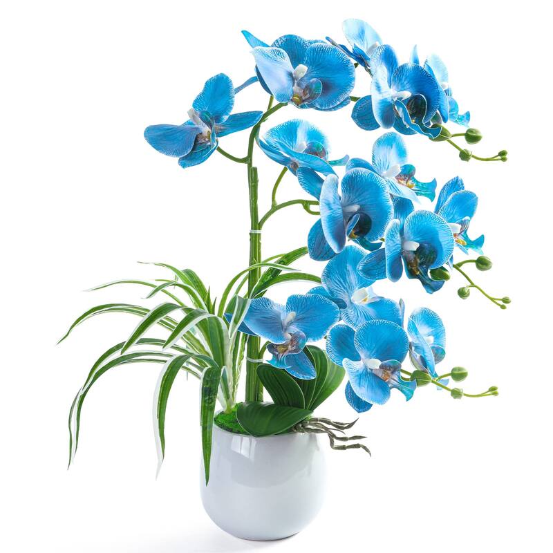 Artificial Orchid Plants and Flowers with Vase, Fake Faux Orchid in Ceramic Pot,19", Blue - Green