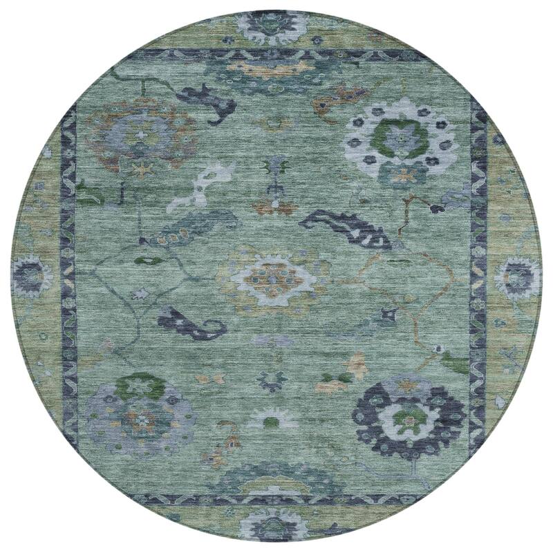 Machine Washable Indoor/ Outdoor Traditional Boho Chantille Rug