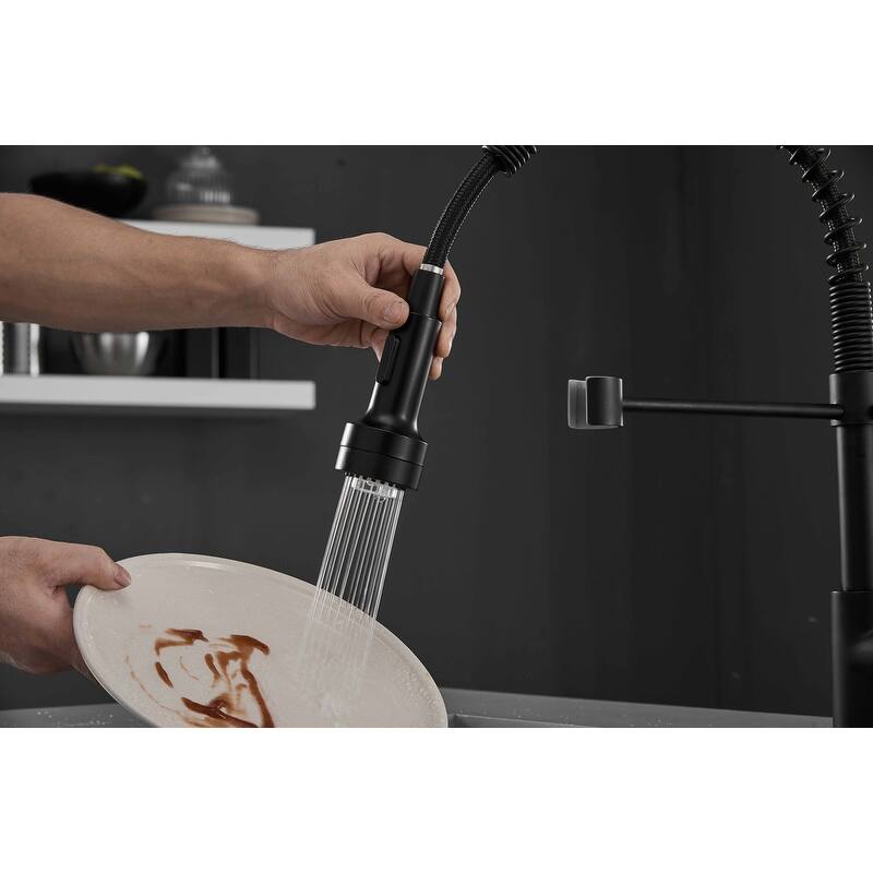 Pull Down Spray Swivel Kitchen Faucet w/LED 2 Spout