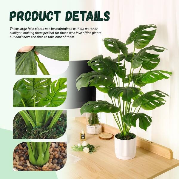 pothos silver splash Silver Splash Pothos Colorful Foliage - Easy Care Houseplant for Beginner