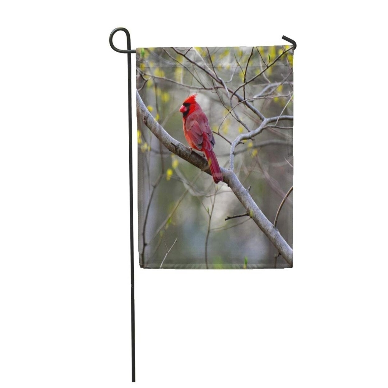 Shop Colorful Red Robin Famous Bird From Virginia Beak Birding Garden Flag Decorative Flag House Banner 28x40 Inch On Sale Overstock 31394625