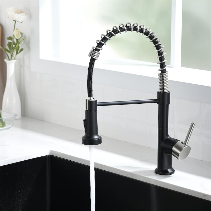 Single Handle Single Lever Kitchen Faucet with Pull Down Sprayer