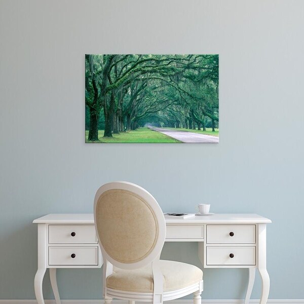 Easy Art Prints Joanne Wells's 'Historic Wormsloe Plantation' Premium Canvas Art