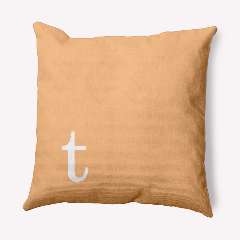 Modern Monogram Decorative Throw Pillow - 20" x 20" - t
