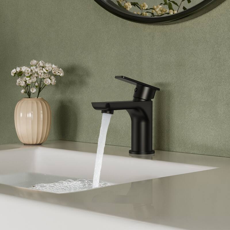 Single Hole Bathroom Faucet with Drain Assembly, Single Handle Bathroom Sink Faucet