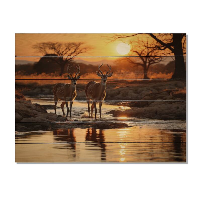 Designart "Africian Deer" Animals Print on Natural Pine Wood