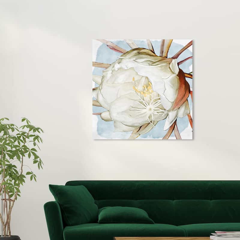 Wynwood Studio Canvas Floral and Botanical Latenight Blossom White and Farmhouse Wall Art Canvas Print - 30 x 30