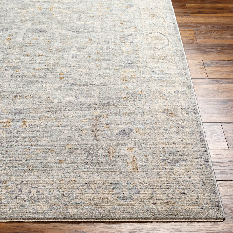 Lanta Classic Traditional Area Rug
