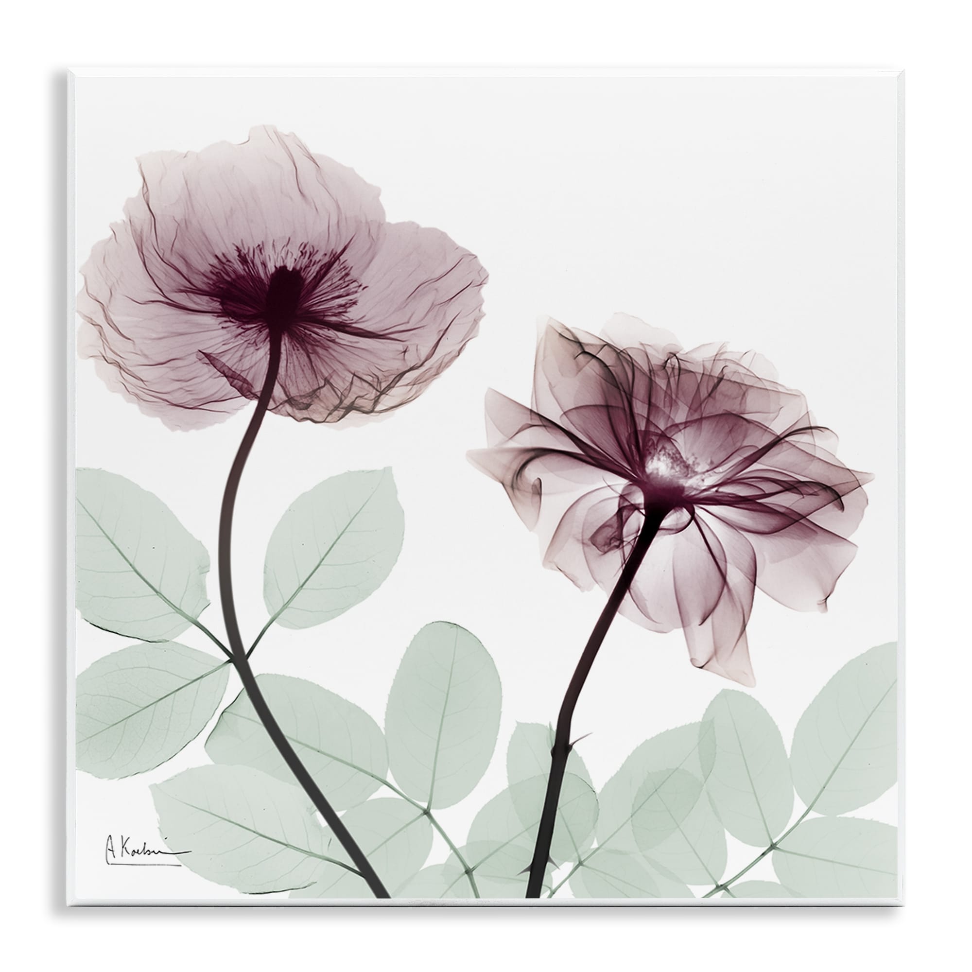 Stupell Delicate Floral Bunches Wall Plaque Art Design By Albert Koetsier