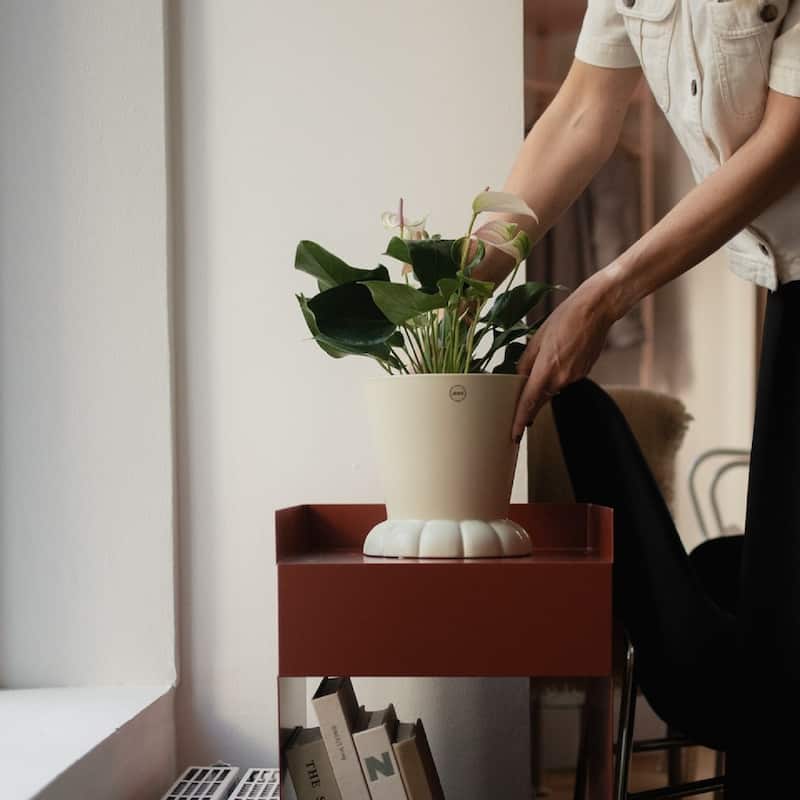 FLORA Pot creme