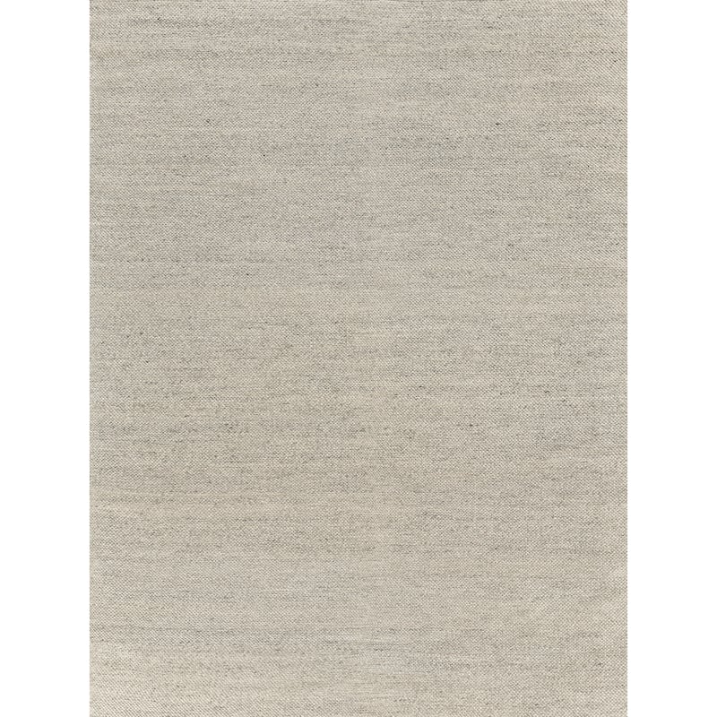 EXQUISITE RUGS Rhodes Hand-loomed PET yarn Beige Area Rug.