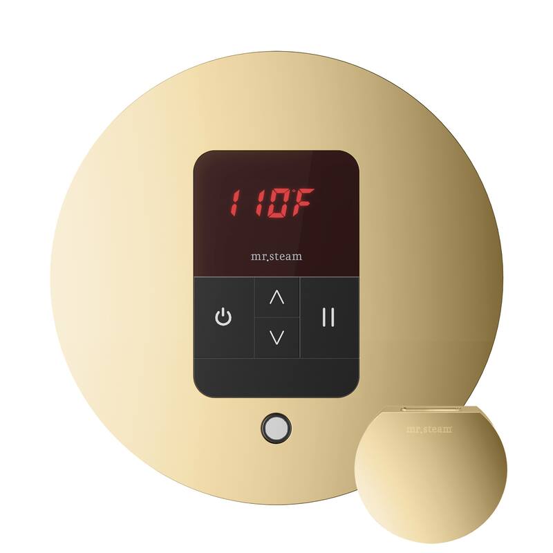 Mr Steam BBR Basic Butler Package Steam Shower Control Package with