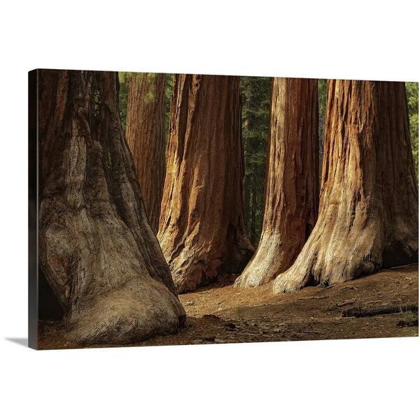 Shop The Bachelor And Three Graces Four Giant Sequoias In Mariposa Grove Canvas Wall Art Overstock 16479709