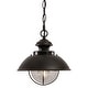 preview thumbnail 8 of 6, Harwich 1 Light Bronze Coastal Outdoor Barn Dome Pendant Clear Glass - 10-in W x 10.75-in H x 10-in D
