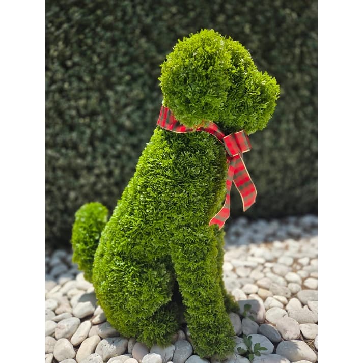 Topiary Outdoor / Indoor - Green - N/A