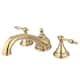 Option Polished Brass