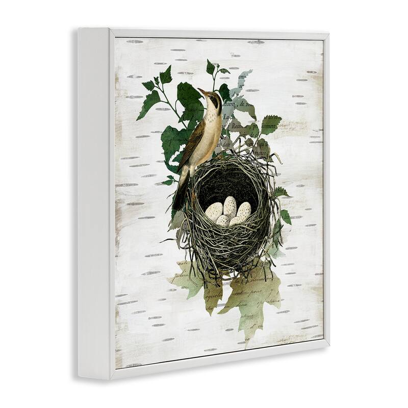 Stupell Vintage Bird Nest & Flora Framed Giclee Art Design By Susan Arnot