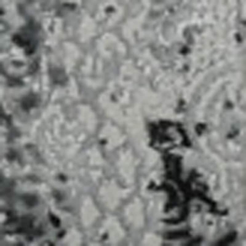 HomeRoots Abstract Contemporary Rectangle Area Rug - 5' X 8'