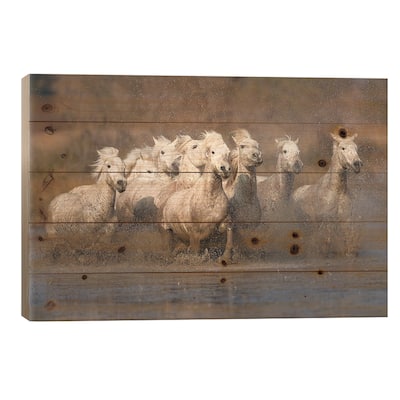 Galloping Herd Of Camargue Horses I, Camargue, Provence-Alpes-Cote d'Azur, France Print On Wood by Jim Zuckerman - Multi-Color