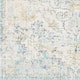 Caressa Vintage Boho Area Rug