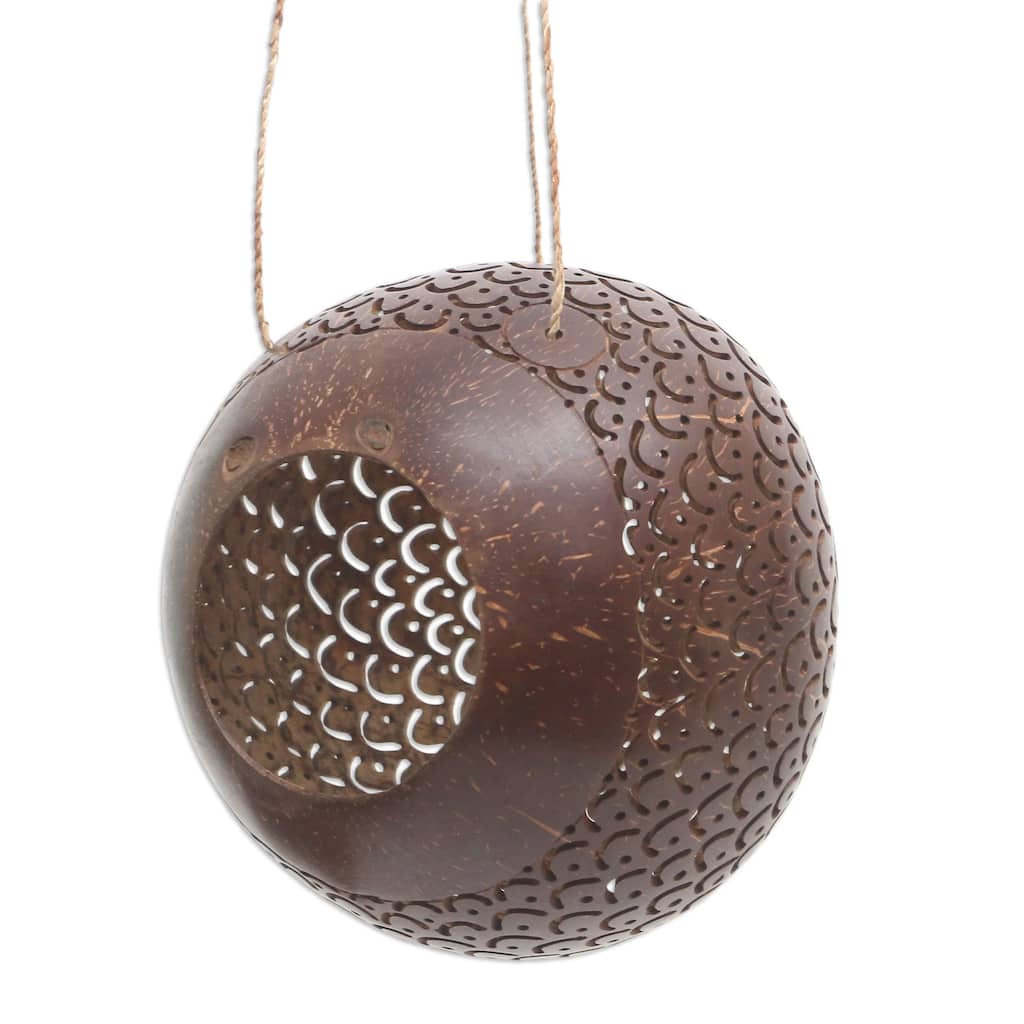 Novica Handmade Sea Scales Coconut Shell Birdhouse