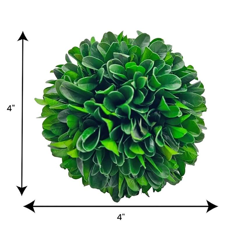 Handmade Preserved Topiary Balls, Set of 6 Decorative Floral Orbs - 4 inch
