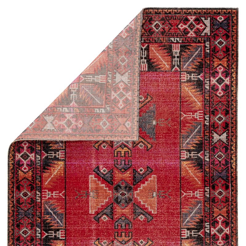 Paloma Indoor and Outdoor Tribal Area Rug