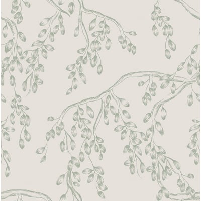 Laura Ashley Rainham Willow Sage Wallpaper