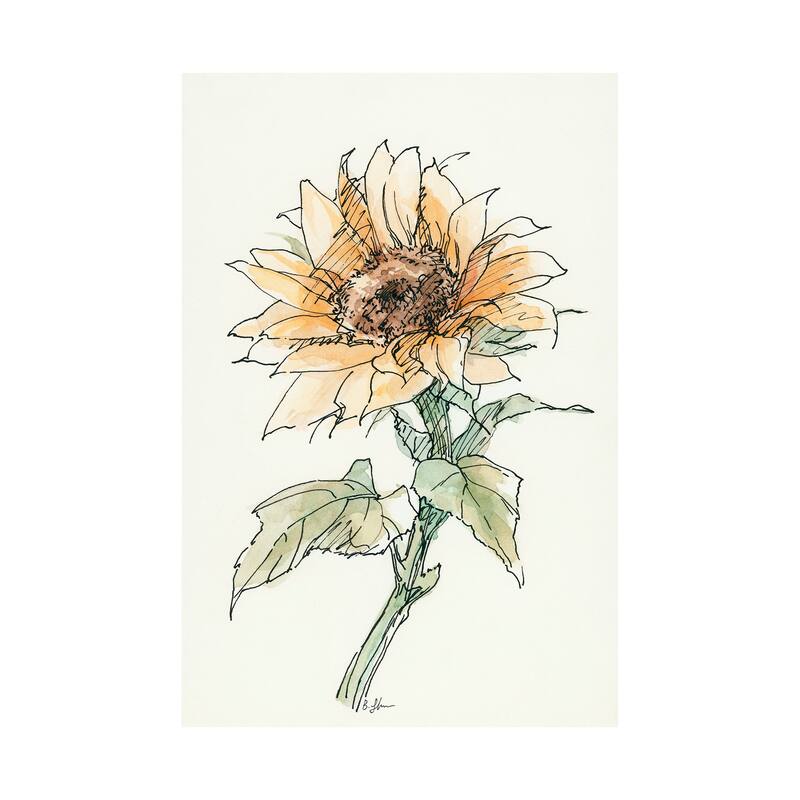 Sunflower II (30 x 45) Canvas Art Print - Large