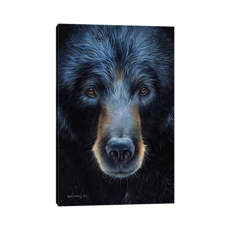 iCanvas "Black Bear I" by Sarah Stribbling Canvas Print